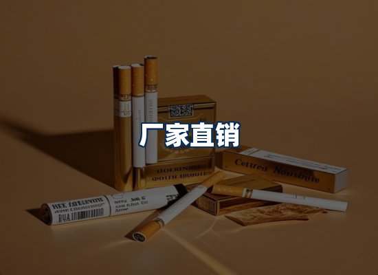 专业团队办公环境